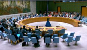 UN Security Council