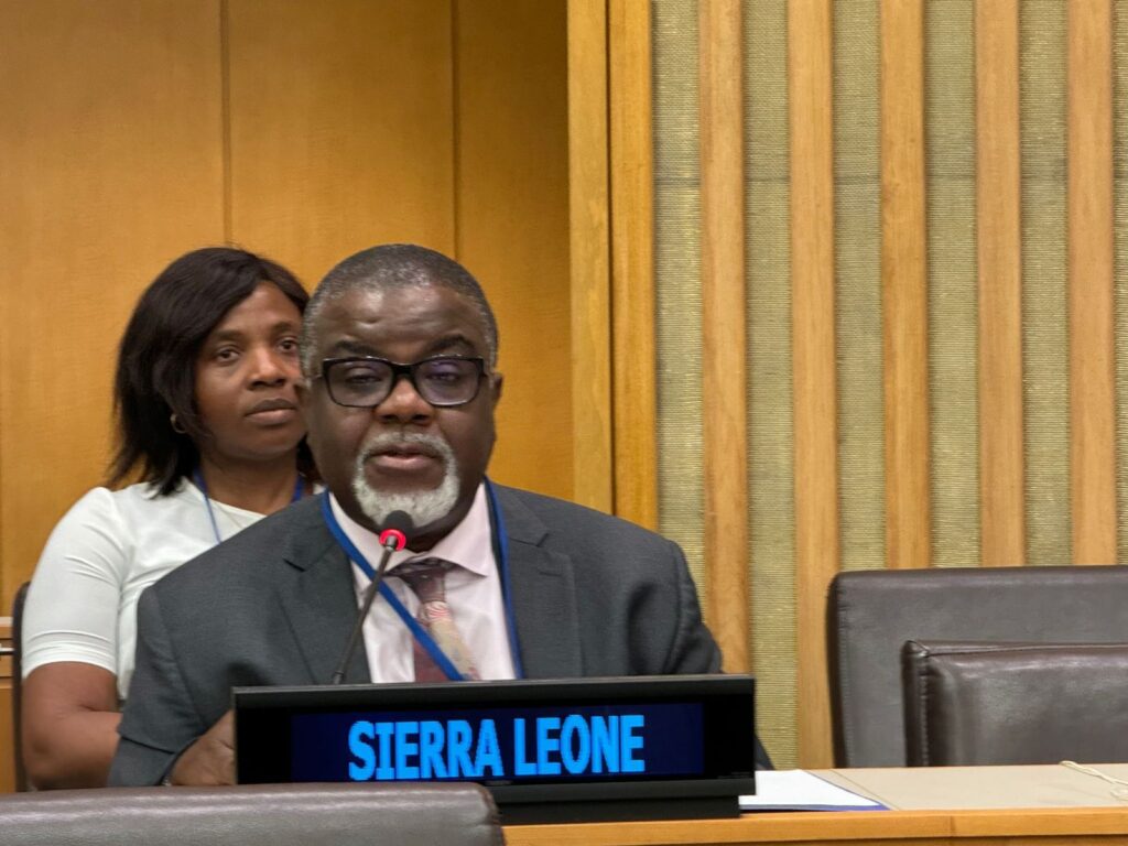 H.E. MR. AMARA S. M. SOWA CHARGE D’AFFAIRES A.I. DEPUTY PERMANENT REPRESENTATIVE