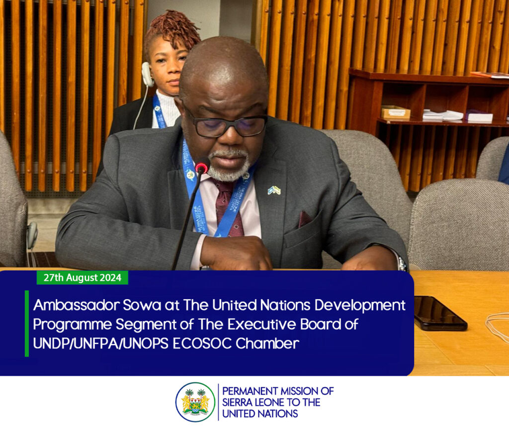 Ambassador Sowa at The United Nations Development Programme Segment of The Executive Board of UNDP/UNFPA/UNOPS ECOSOC Chamber