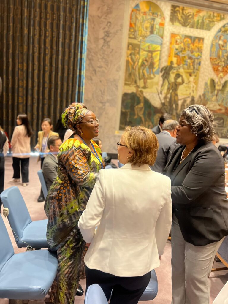 Sierra  Leone at the UN Security Council