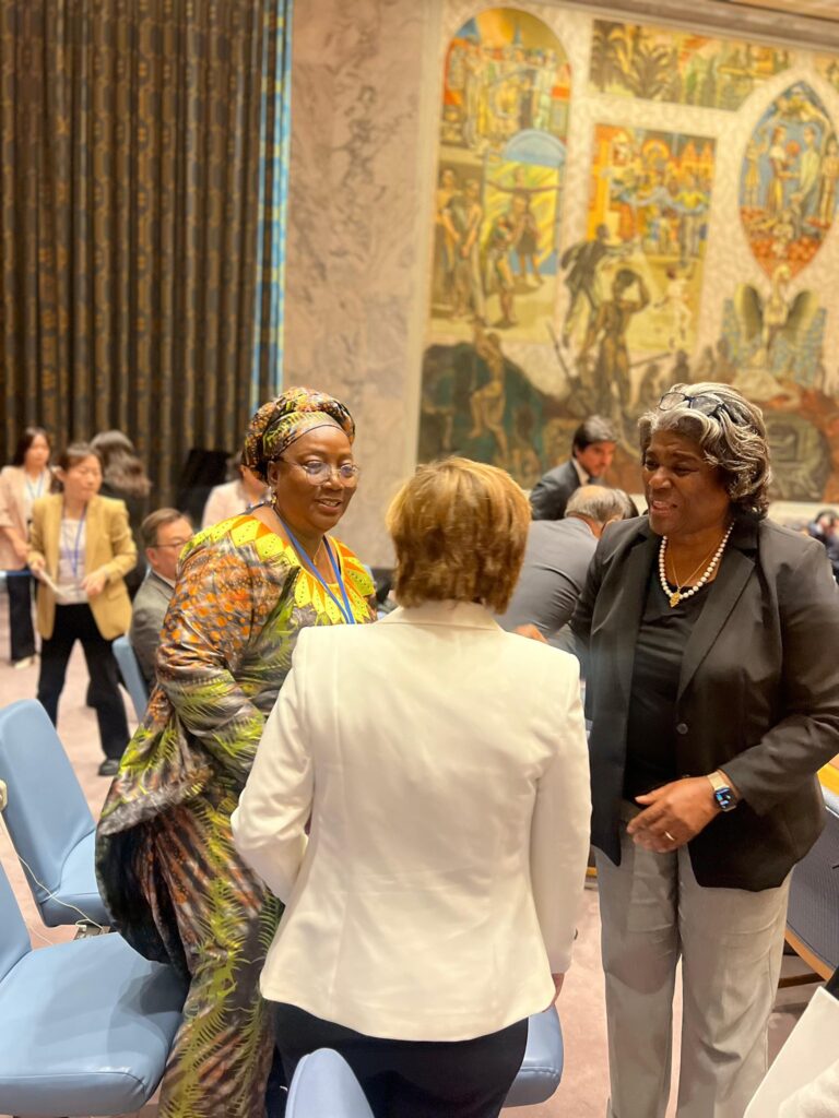 Sierra  Leone at the UN Security Council