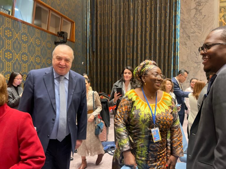 Sierra  Leone at the UN Security Council