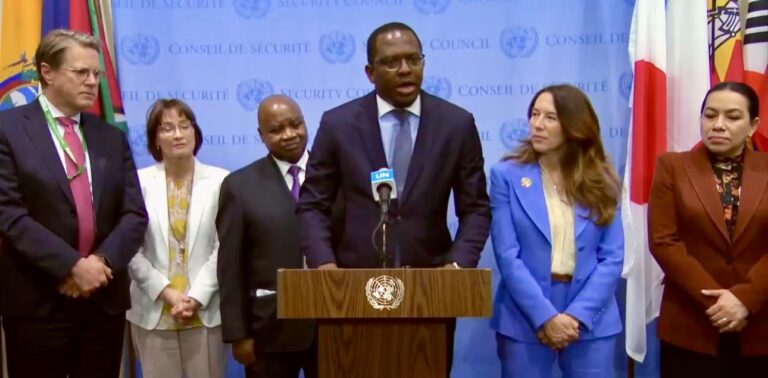 Sierra  Leone at the UN Security Council