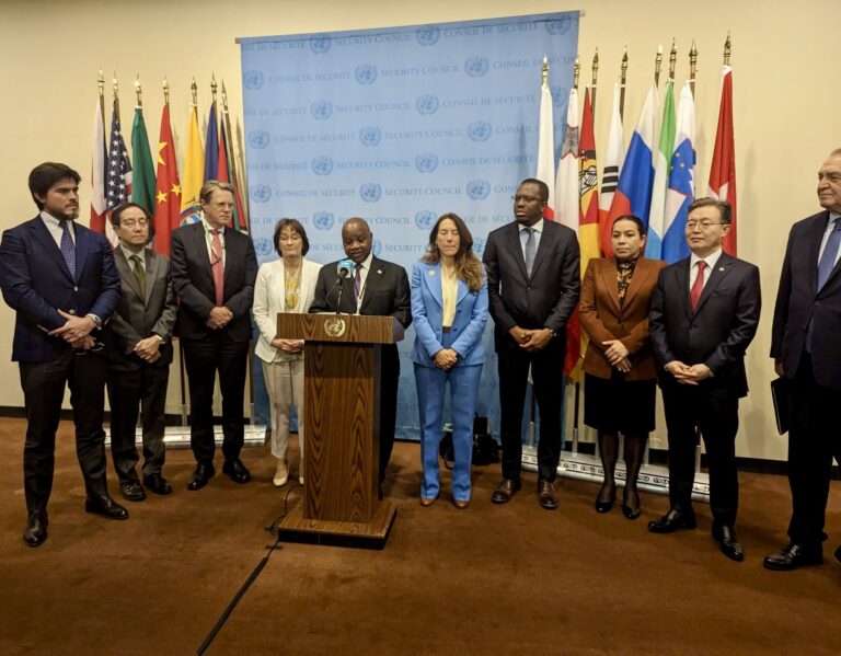 Sierra  Leone at the UN Security Council