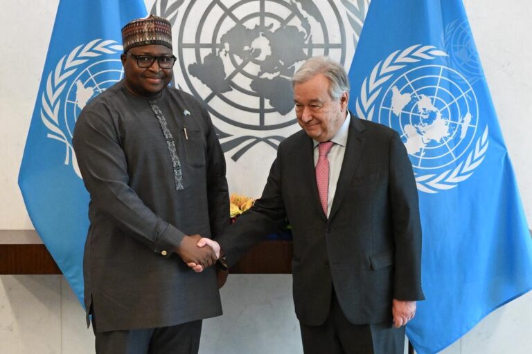 Sierra  Leone at the UN Security Council