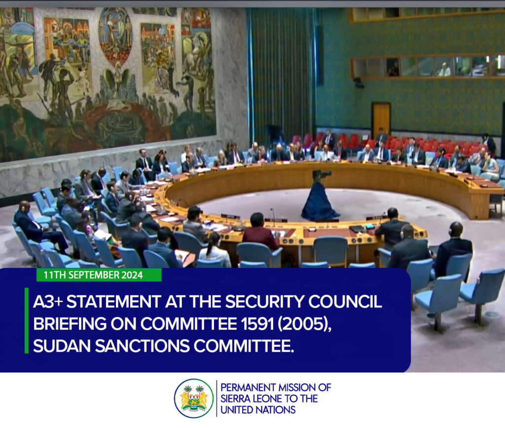 a3+ statement at the Security Council Briefing on Committee 1591 (2005), Sudan Sanctions Committee.