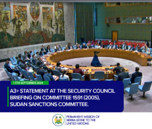 a3+ statement at the Security Council Briefing on Committee 1591 (2005), Sudan Sanctions Committee.