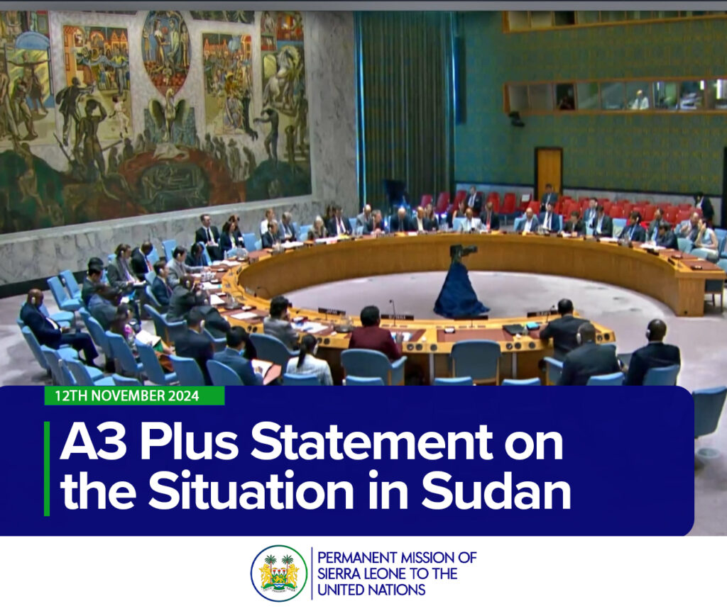 A3 Plus Statement on the Situation in Sudan