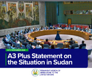 A3 Plus Statement on the Situation in Sudan