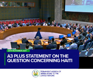 A3 Plus STATEMENT on the Question Concerning Haiti