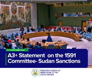 A3+ Statement on the 1591 Committee- Sudan Sanctions