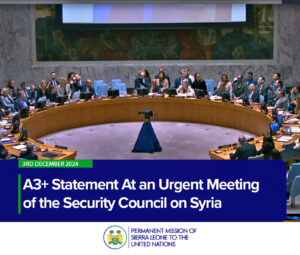 A3+ Statement At an Urgent Meeting of the Security Council on Syria