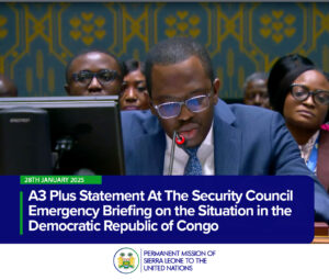 A3 Plus Statement At The Security Council Emergency Briefing on the Situation in the Democratic Republic of Congo