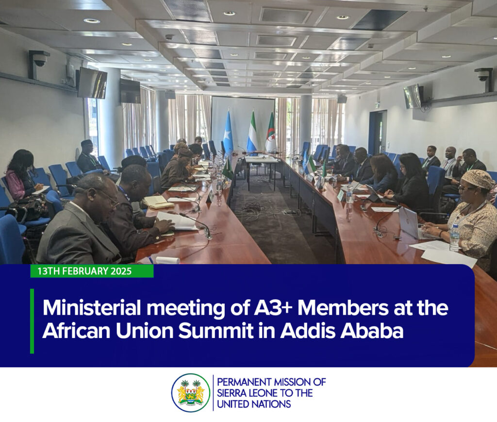 Ministerial meeting of A3+ Members at the African Union Summit in Addis Ababa